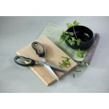 Richardson Sheffield käärid maitsetaimede hakkimiseks "Refinest"  | 2