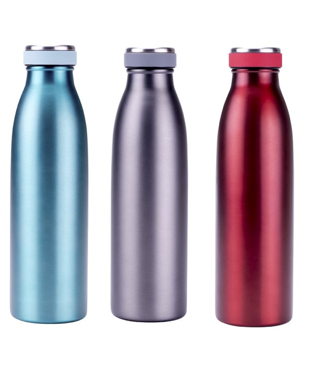 STEUBER kahekordse seinaga joogipudel ''Design'', 750 ml  | 1